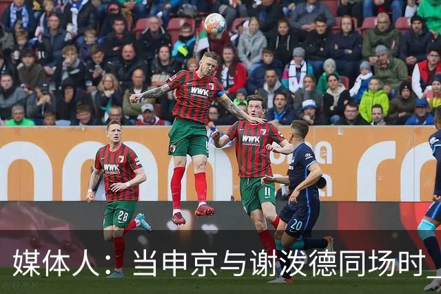 媒体人：当申京与谢泼德同场时 火箭的挡拆防守会被对手无情摧毁
